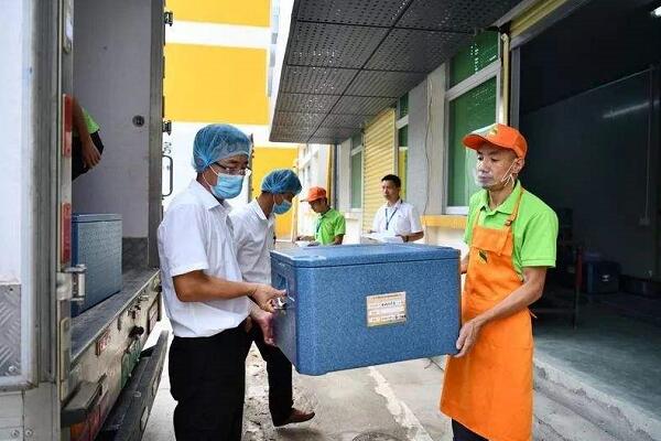 番禺區學生營養餐配送