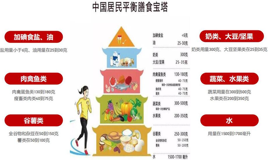 營(yíng)養(yǎng)平衡調(diào)整